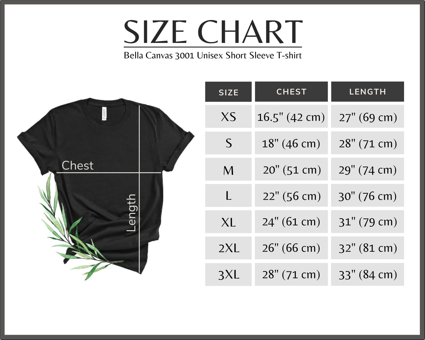 BlackHawk Star Pride Bella Canvas T-Shirt