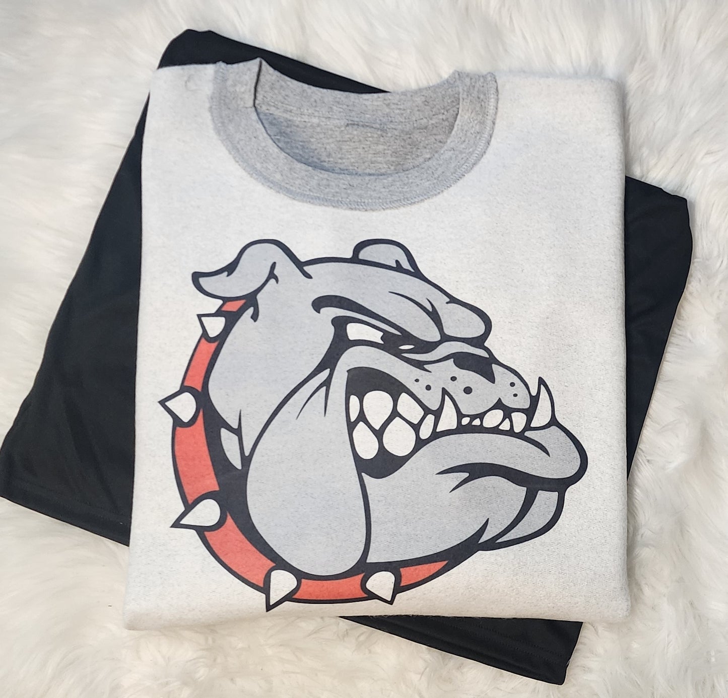 Inside Out Mascot Sweatshirt!
