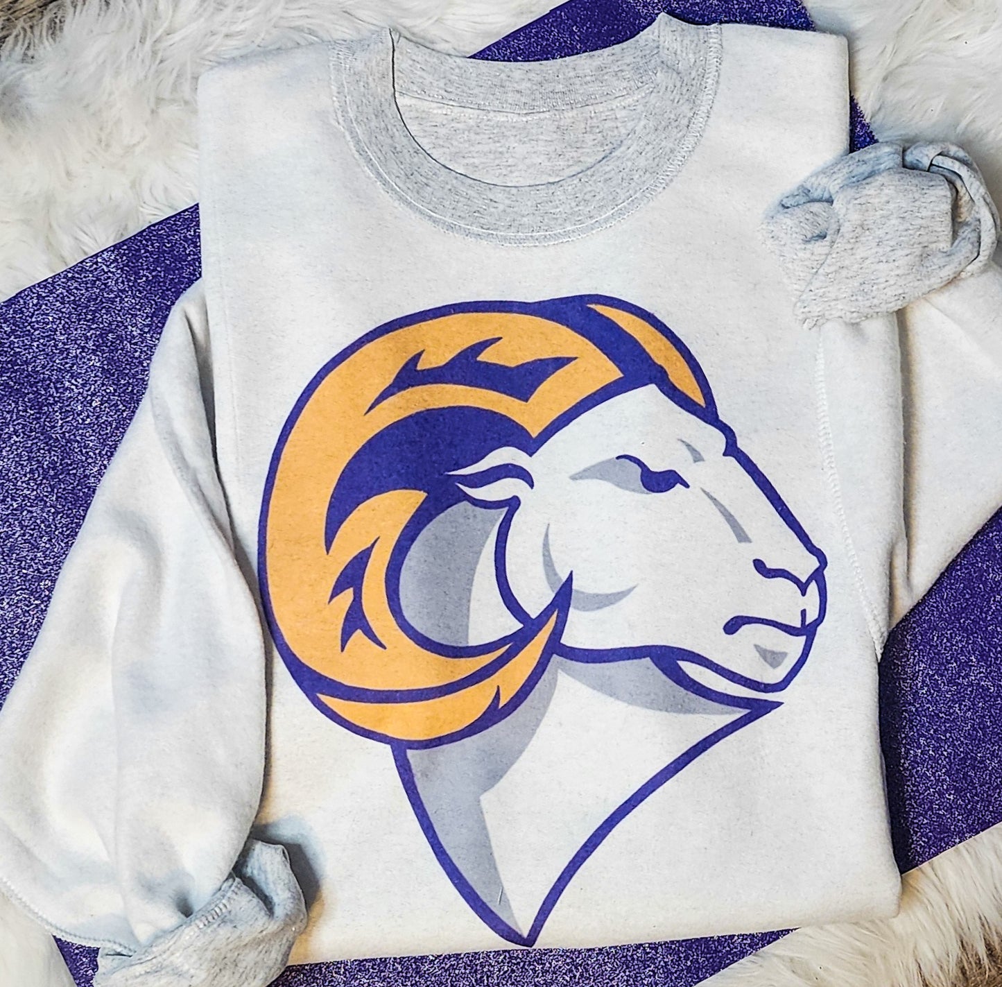 Inside Out Mascot Sweatshirt!