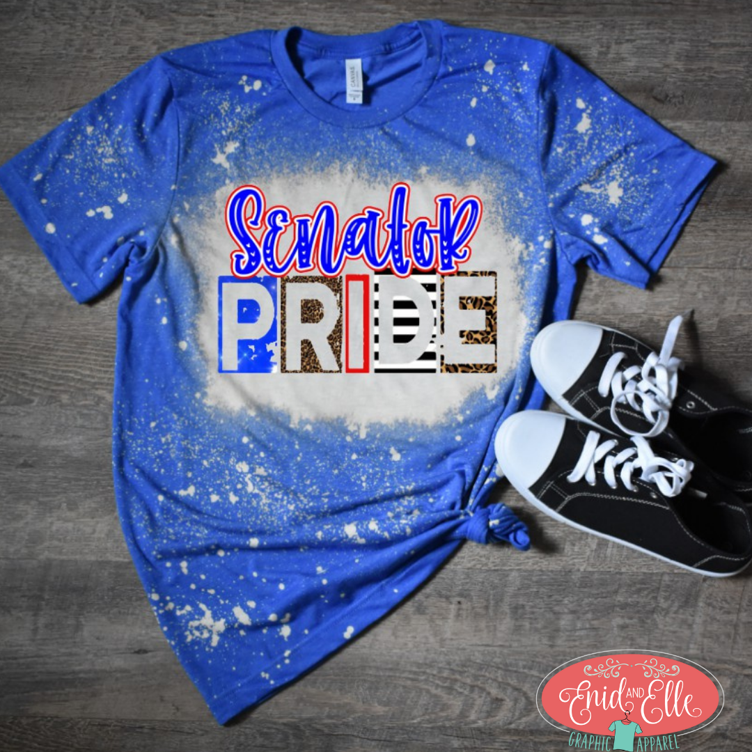 Senator Pride Shirt
